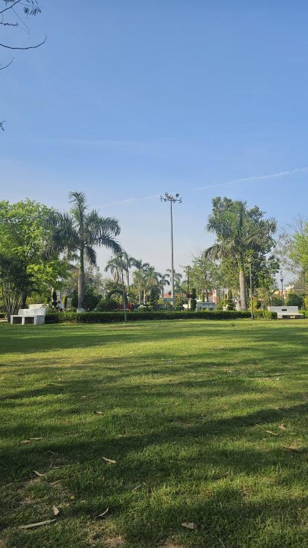  255 Sq. Yards Residential Plot for Sale in Sector 34 Ambala