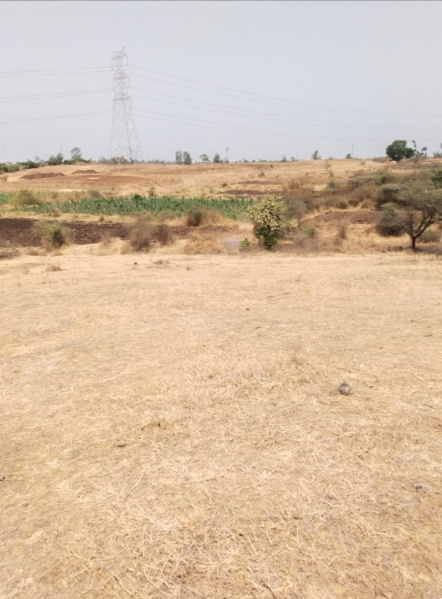 Hatkanangale, Kolhapur photo 3