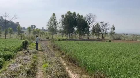  12 Bigha Agricultural/Farm Land for Sale in Vikas Nagar, Dehradun