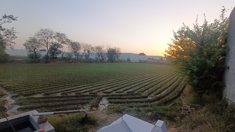  10 Sq.ft. Agricultural/Farm Land for Rent in Nacholi, Faridabad