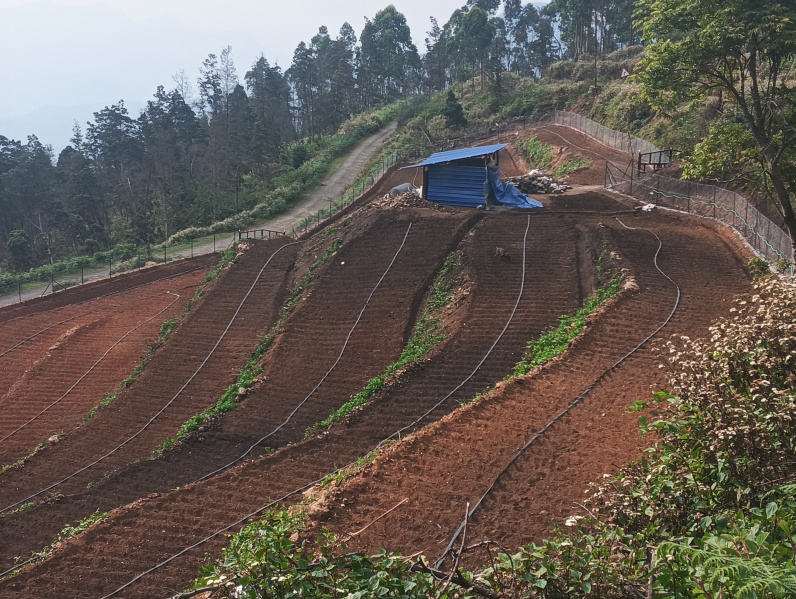  2 Acre Residential Plot for Sale in Mannavanur, Kodaikanal