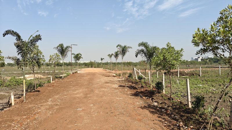  1000 Sq.ft. Residential Plot for Sale in Kamal Vihar, Raipur