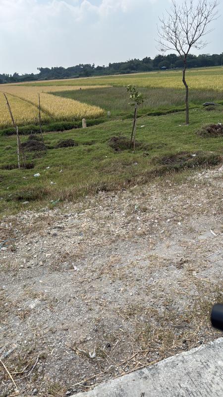  4400 Sq.ft. Agricultural/Farm Land for Sale in Olaiyur, Tiruchirappalli