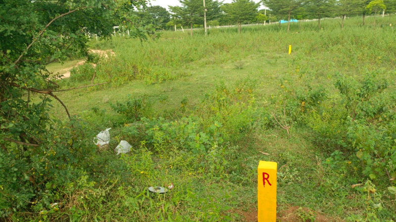 200 Sq. Yards Residential Plot for Sale in Shamirpet, Hyderabad