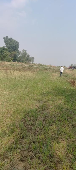  5 Biswa Residential Plot for Sale in Karchana, Allahabad
