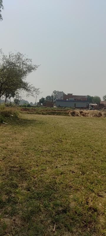  5 Biswa Residential Plot for Sale in Karchana, Allahabad