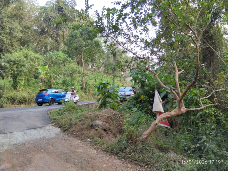 Koothuparamba, Kannur photo 5