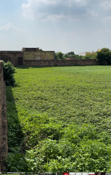  3 Bigha Residential Plot for Sale in Sewar Road, Bharatpur