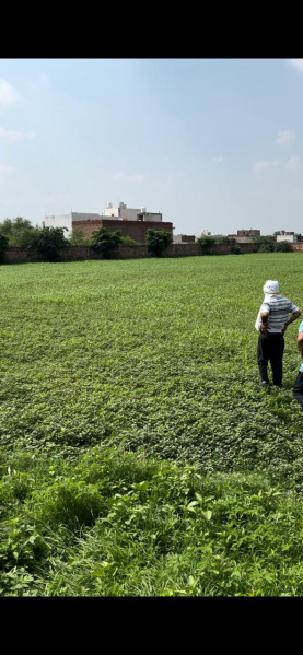  3 Bigha Residential Plot for Sale in Sewar Road, Bharatpur