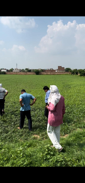  3 Bigha Residential Plot for Sale in Sewar Road, Bharatpur