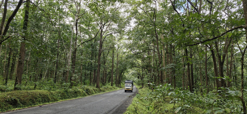 1 RK 5000 Sq.ft. Farm House for Sale in Hingna, Nagpur