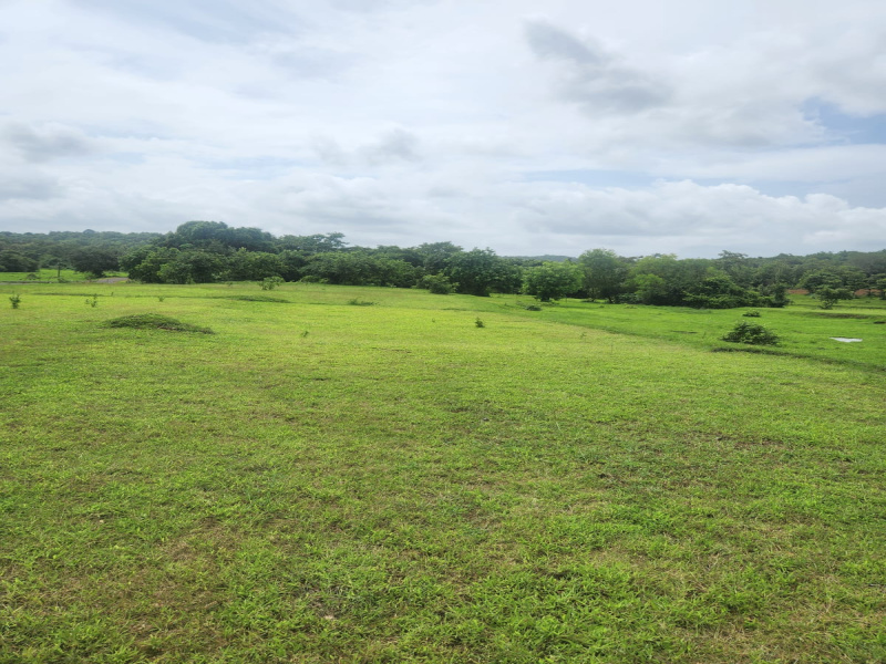 Kudal, Sindhudurg photo 2