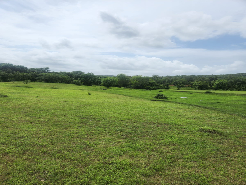 Kudal, Sindhudurg photo 3