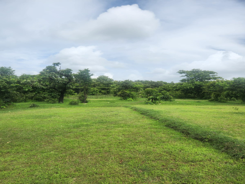Kudal, Sindhudurg photo 4