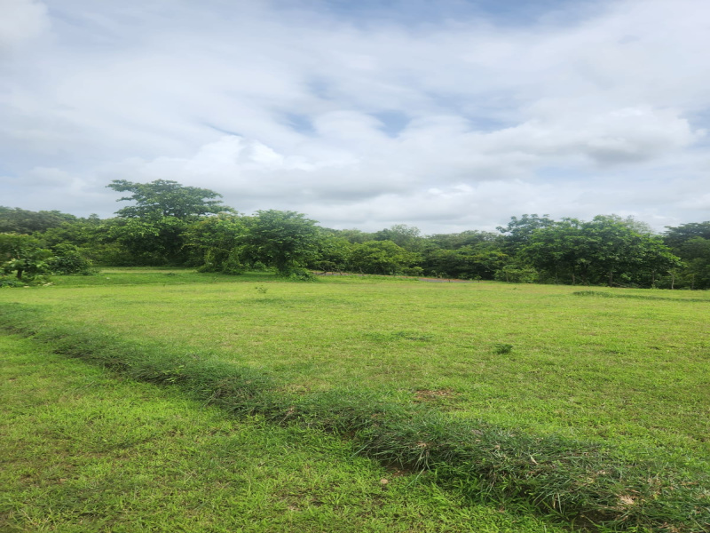 Kudal, Sindhudurg photo 5