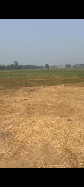  1200 Sq.ft. Residential Plot for Sale in Frazer Road, Patna