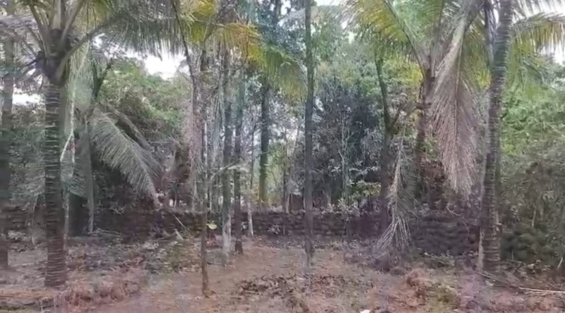  36 Guntha Agricultural/Farm Land for Sale in Sawantwadi, Sindhudurg