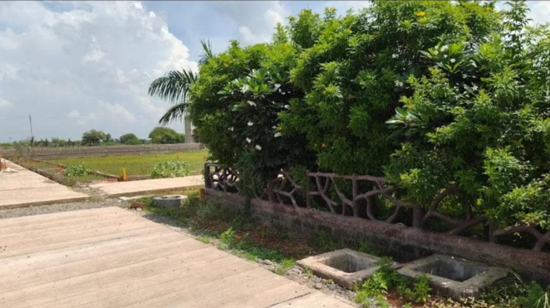  600 Sq.ft. Residential Plot for Sale in Naya Raipur, Raipur