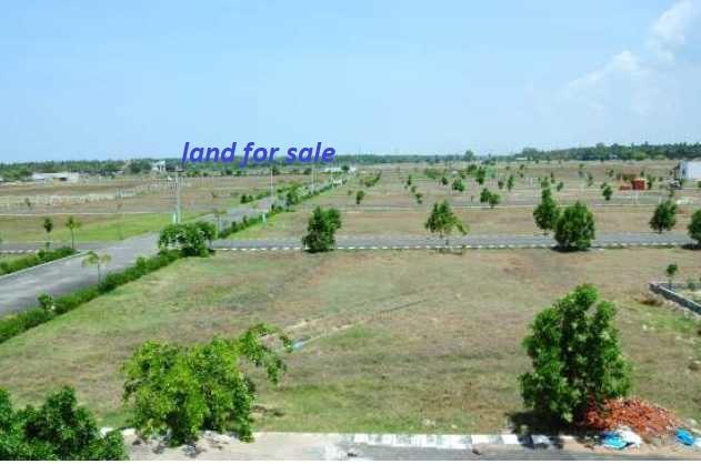  1500 Sq.ft. Residential Plot for Sale in Rajanagaram, Rajahmundry