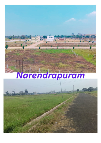  1500 Sq.ft. Residential Plot for Sale in Rajanagaram, Rajahmundry