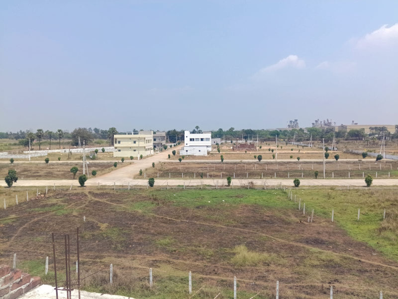  1500 Sq.ft. Residential Plot for Sale in Rajanagaram, Rajahmundry
