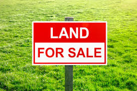  1500 Sq.ft. Residential Plot for Sale in Rajanagaram, Rajahmundry