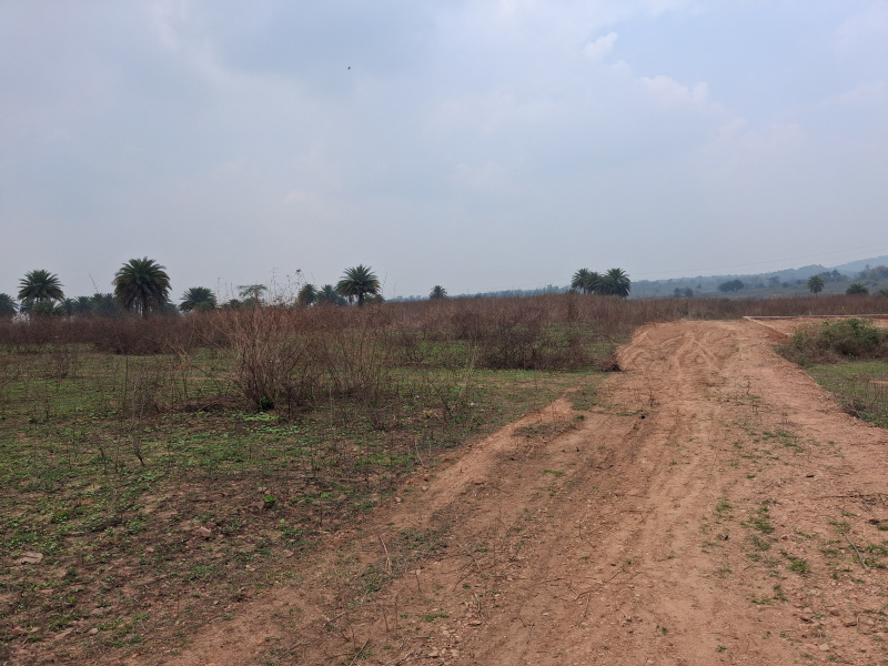  11 Acre Commercial Land for Sale in Chhotaputki, Dhanbad