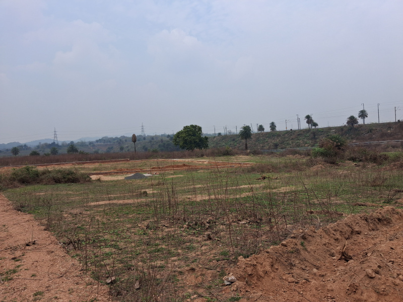  11 Acre Commercial Land for Sale in Chhotaputki, Dhanbad