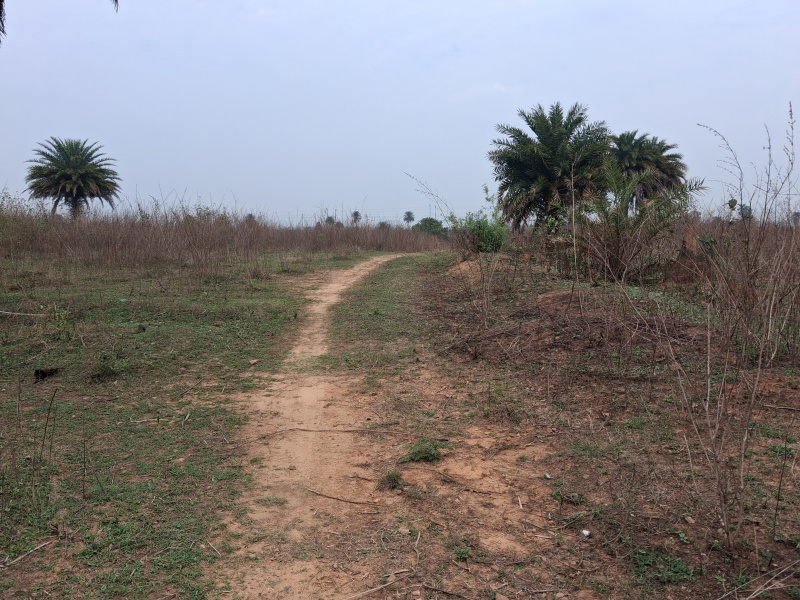  11 Acre Commercial Land for Sale in Chhotaputki, Dhanbad