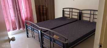 3.0 BHK Flats for Rent in Greater Noida West, Greater Noida