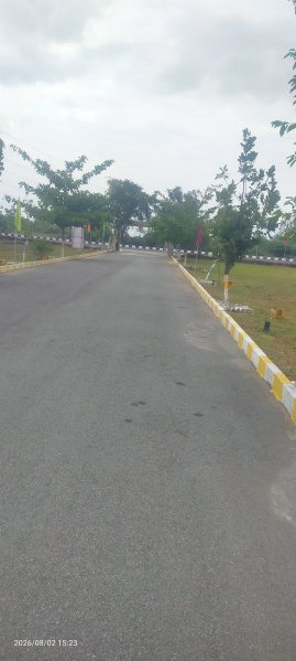 Arcot, Vellore photo 3