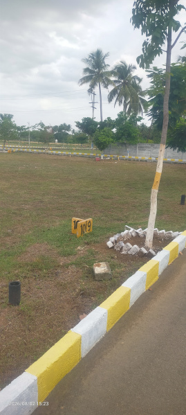 Arcot, Vellore photo 4