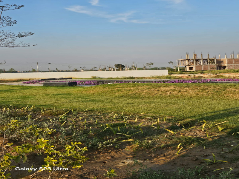 Sunrakh Road, Vrindavan photo 4
