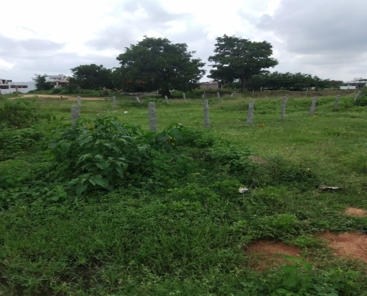  320 Sq.ft. Agricultural/Farm Land for Sale in Sailani Baba Colony, Kamareddy