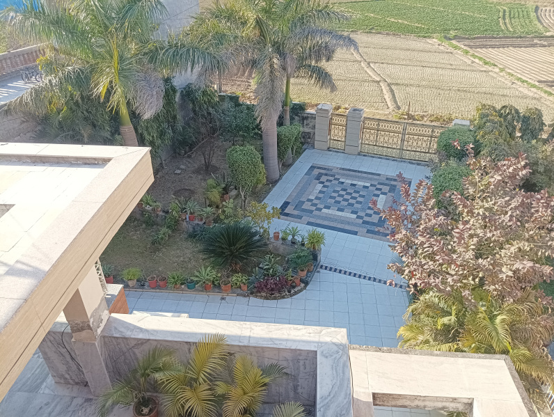 6 BHK 700 Sq. Yards Farm House for Sale in Airport Road, Mohali