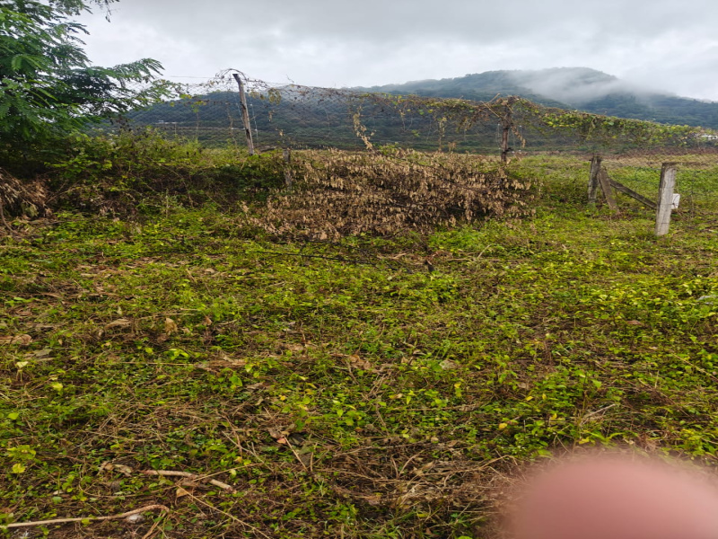  4360 Sq.ft. Residential Plot for Sale in Anaikatti, Coimbatore