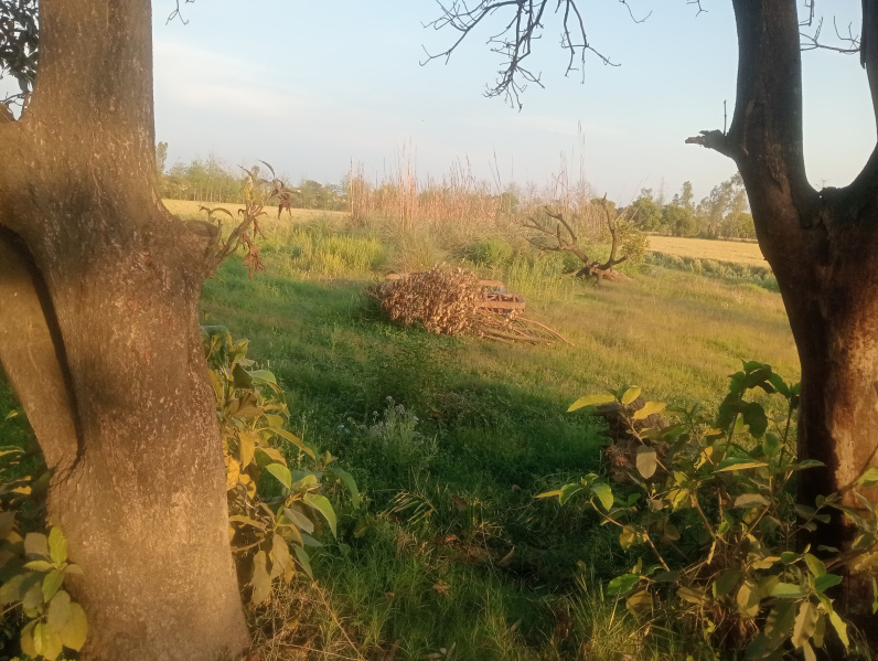  4500 Sq.ft. Residential Plot for Sale in Ramnagar Road, Kashipur