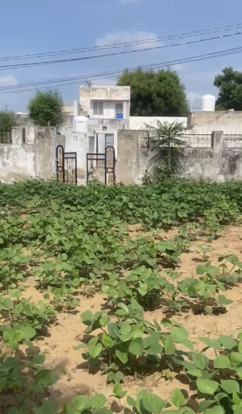 1 RK 1 Bigha Farm House for Sale in Parbatsar, Nagaur