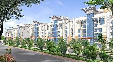 3 BHK Flat for Rent in Sector Pi II, Greater Noida