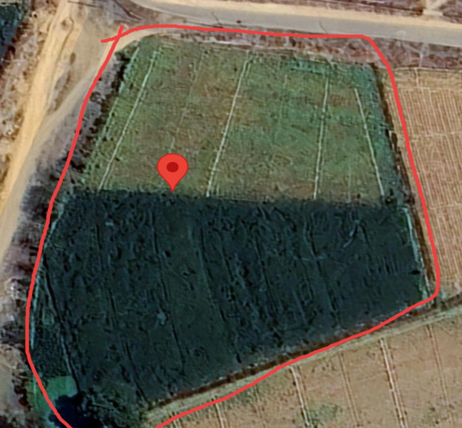  64586 Sq.ft. Agricultural/Farm Land for Sale in Sahpaunp, Hathras