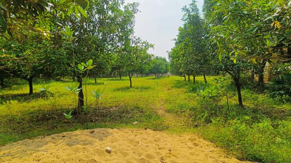  6 Acre Agricultural/Farm Land for Sale in Uthukkottai, Thiruvallur