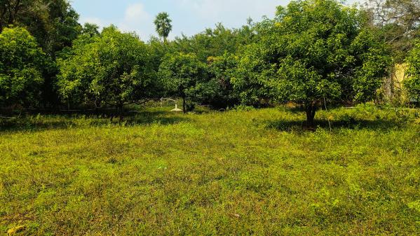  7 Acre Agricultural/Farm Land for Sale in Uthukkottai, Thiruvallur