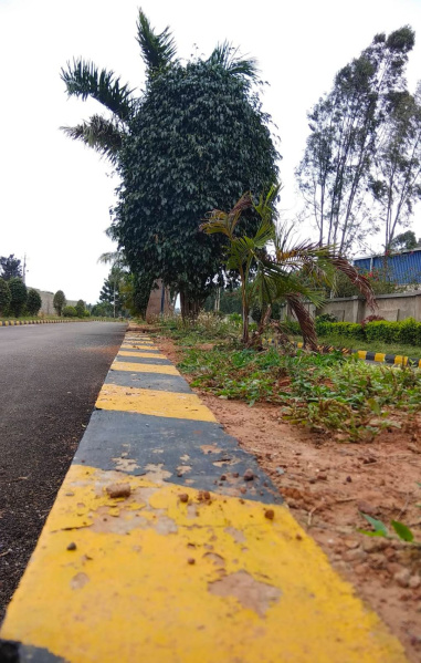  1200 Sq.ft. Residential Plot for Sale in Hoskote, Bangalore