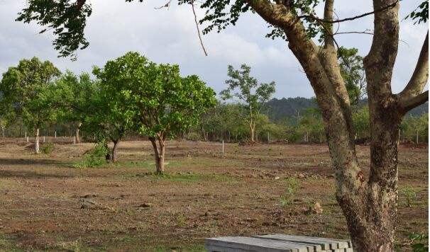  1 Guntha Residential Plot for Sale in Ambegaon Budruk, Pune