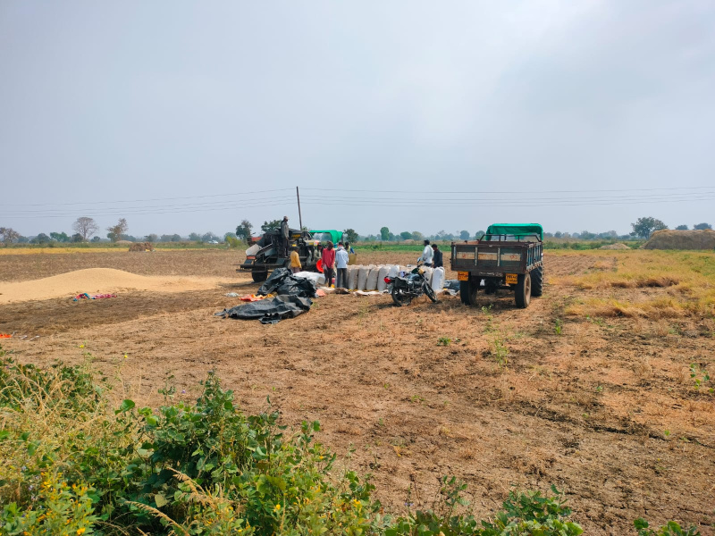  4 Acre Agricultural/Farm Land for Sale in Bhiwapur, Nagpur