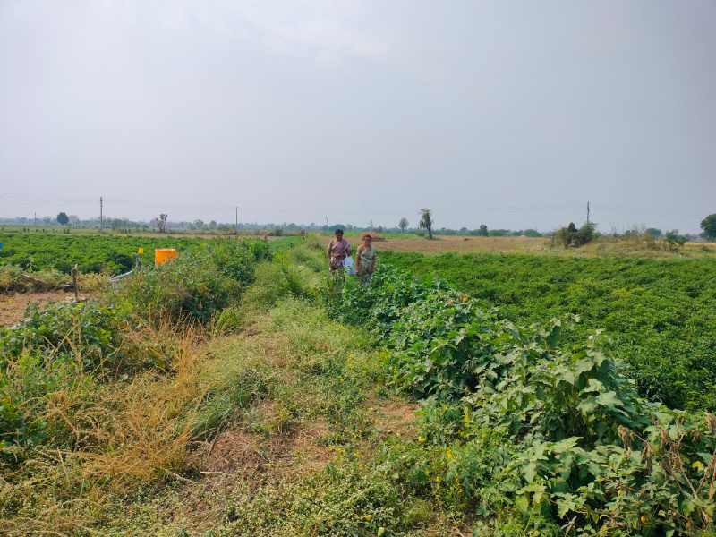 4 Acre Agricultural/Farm Land for Sale in Bhiwapur, Nagpur