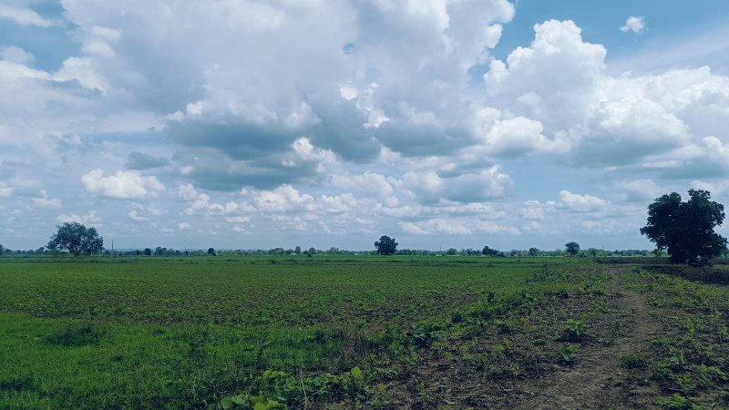  4 Acre Agricultural/Farm Land for Sale in Bhiwapur, Nagpur