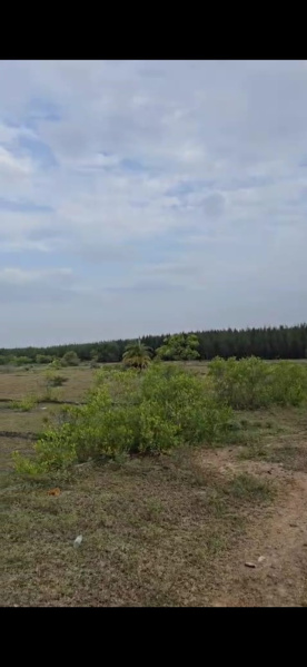  87300 Sq.ft. Residential Plot for Sale in Tindivanam, Villupuram
