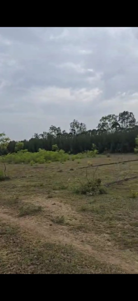  87300 Sq.ft. Residential Plot for Sale in Tindivanam, Villupuram
