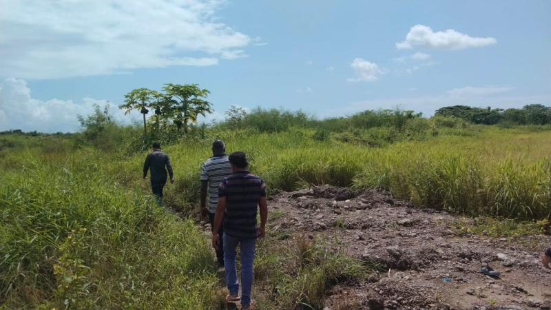  1089 Sq.ft. Industrial Land for Sale in Pen, Raigad